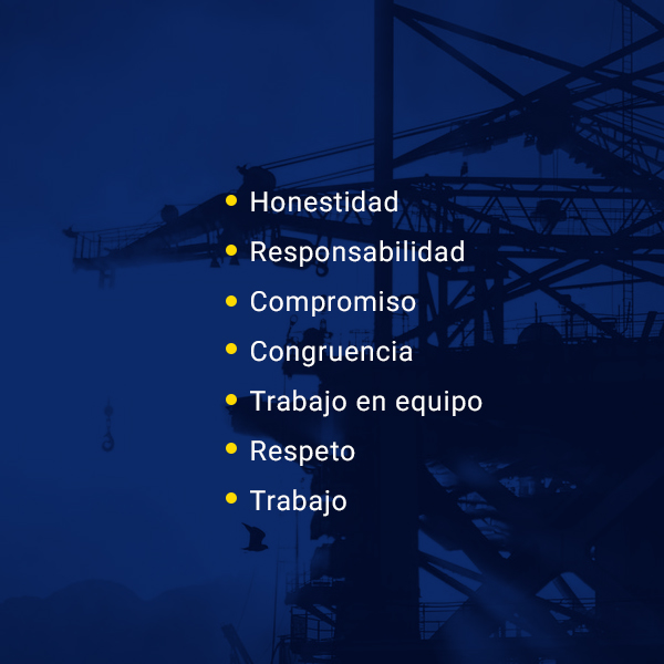 portfolio img